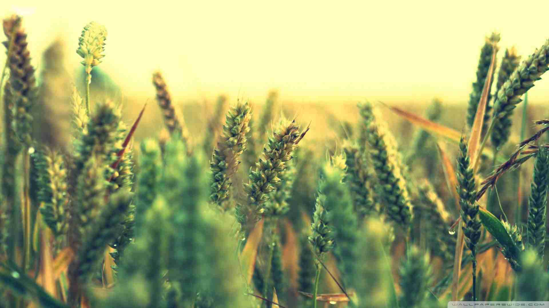 banner1